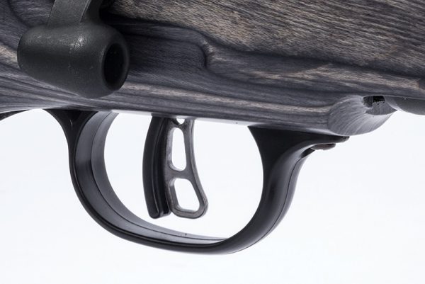 CARABINE SAVAGE B.MAG CAL.17WSM 22" LAMELLEE COLLEE 55970+