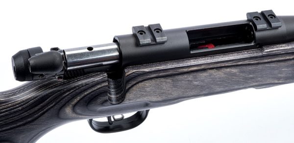 CARABINE SAVAGE B.MAG CAL.17WSM 22" LAMELLEE COLLEE 55970+