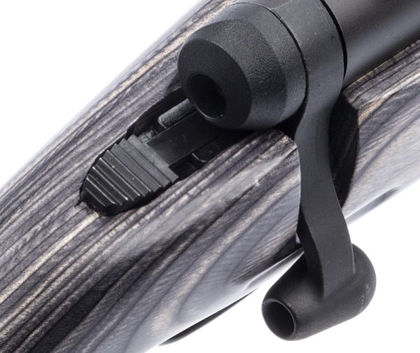 CARABINE SAVAGE B.MAG CAL.17WSM 22" LAMELLEE COLLEE 55970+