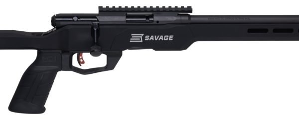 CARABINE SAVAGE B17 PRECISION 17HMR 70848+