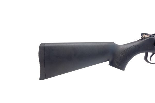 CARABINE NR15 CAL.22LR