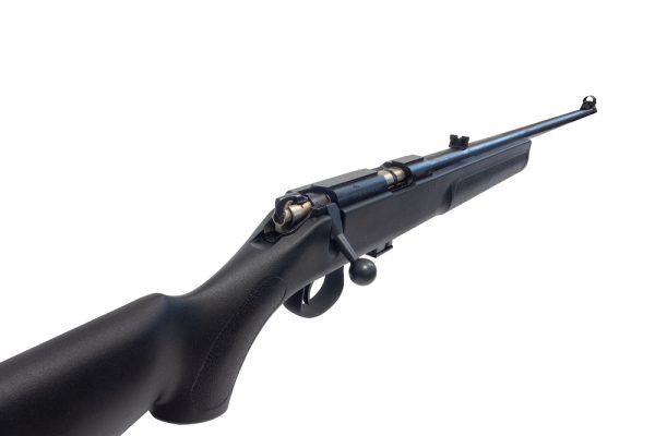 CARABINE NR15 CAL.22LR