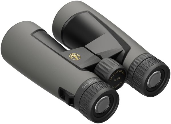 JUMELLES LEUPOLD BX-2 ALPINE HD 10x52mm ROOF SHADOW GRAY 181178