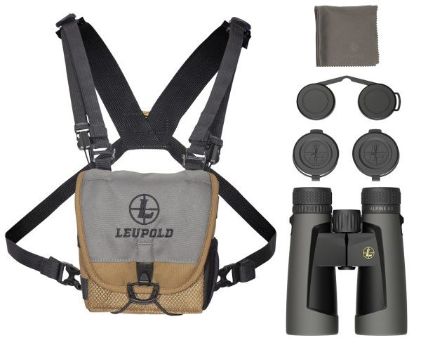 JUMELLES LEUPOLD BX-2 ALPINE HD 10x52mm ROOF SHADOW GRAY 181178