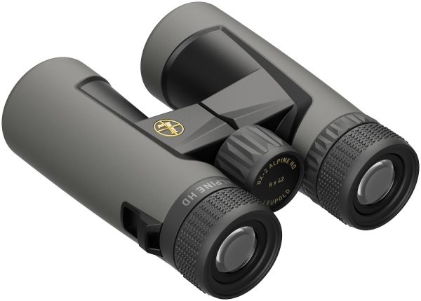 JUMELLES LEUPOLD BX-2 Alpine HD 8x42mm Roof Shadow Gray  181176