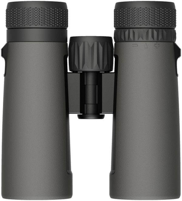 JUMELLES LEUPOLD BX-2 Alpine HD 8x42mm Roof Shadow Gray  181176