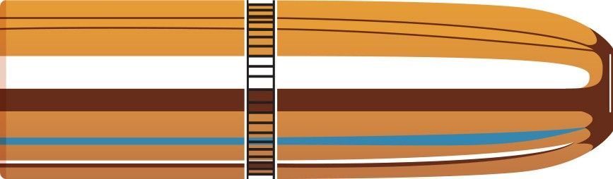 BOITE DE 50 OGIVES HORNADY 423 CAL.423 400GR DGS 4241
