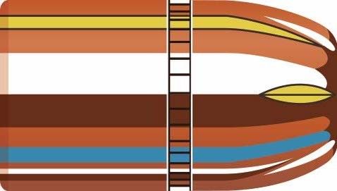 BOITE DE 50 OGIVES HORNADY 45 .452 300GR XTP MAG 45235