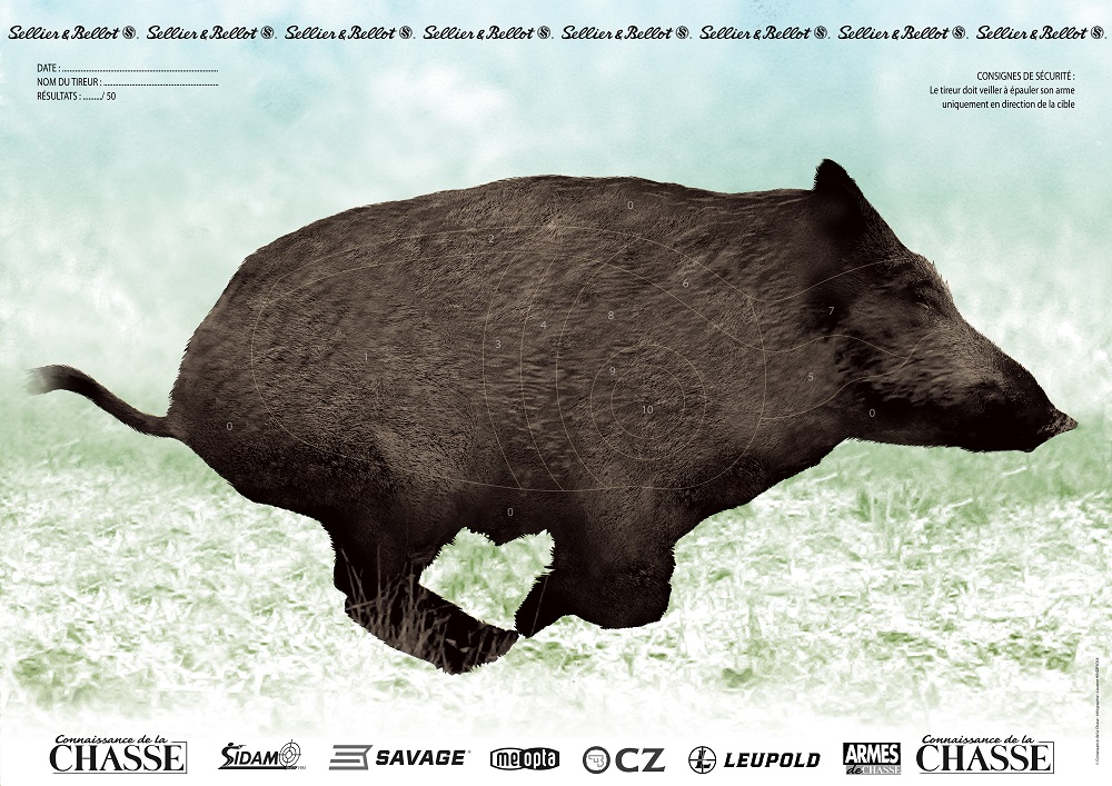 CIBLE COULEUR PELLICULEE SANGLIER TETE A DROITE+