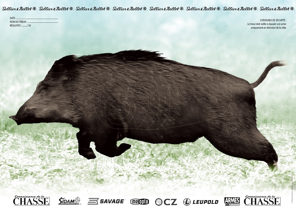 CIBLE COULEUR PELLICULEE SANGLIER TETE A GAUCHE+