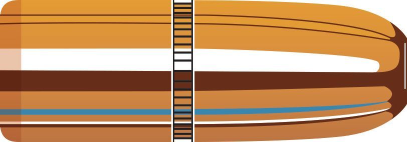 BOITE DE 50 OGIVES HORNADY 470 CAL.474 500 GR DGS 4748