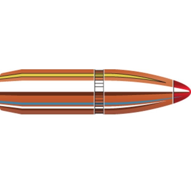 BOITE DE 100 OGIVES HORNADY 25 CAL.257 110GR FTX 2542