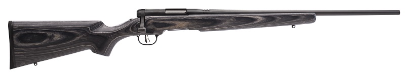 CARABINE SAVAGE B.MAG SPORTER CAL.17SWM 22&Prime; LAMELLEE COLLEE 96971+